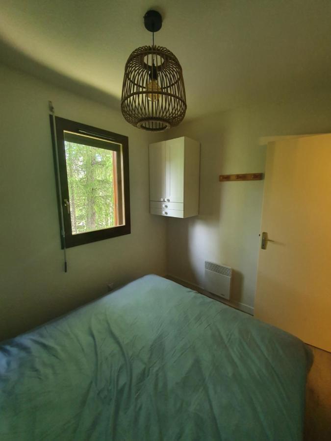 Tres Bel Appartement Vue Montagne Du Devoluy Saint-Étienne-en-Dévoluy Εξωτερικό φωτογραφία